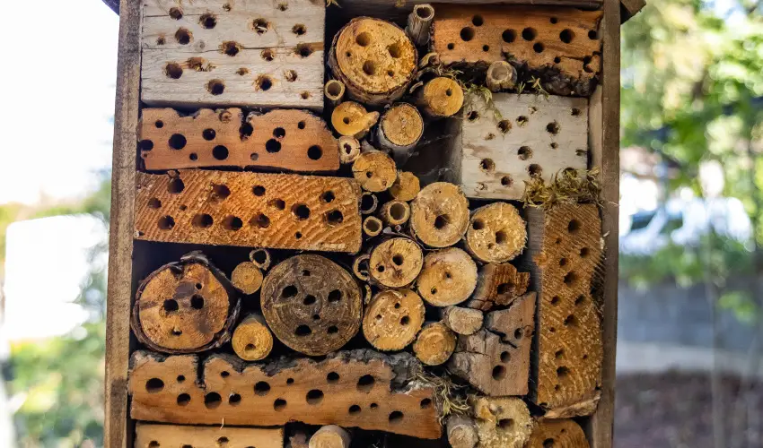 4 vszak Hegyihotel Mtrahza - Karcsony (min. 2 j)