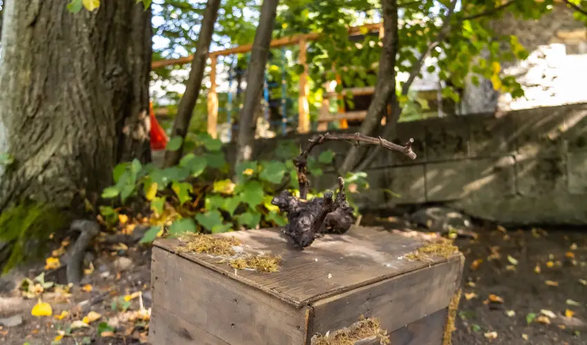 4 vszak Hegyihotel Mtrahza - Karcsony (min. 2 j)