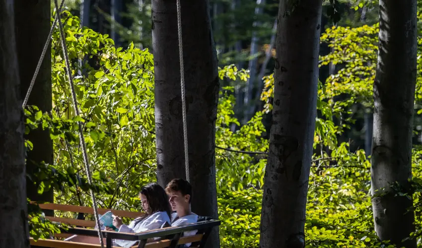 4 vszak Hegyihotel Mtrahza - Karcsony (min. 2 j)