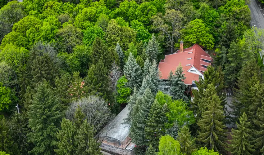 4 vszak Vlgyhotel Mtrafred - Karcsony