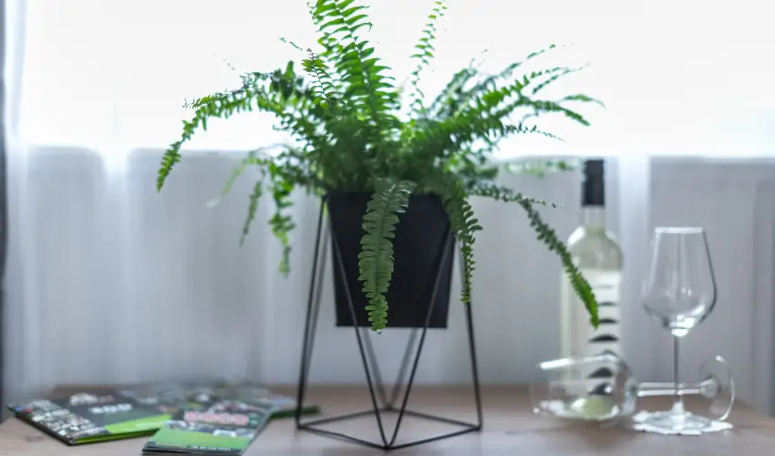 4 vszak Vlgyhotel Mtrafred - Karcsony