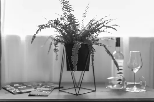 4 �vszak V�lgyhotel - Szilveszter