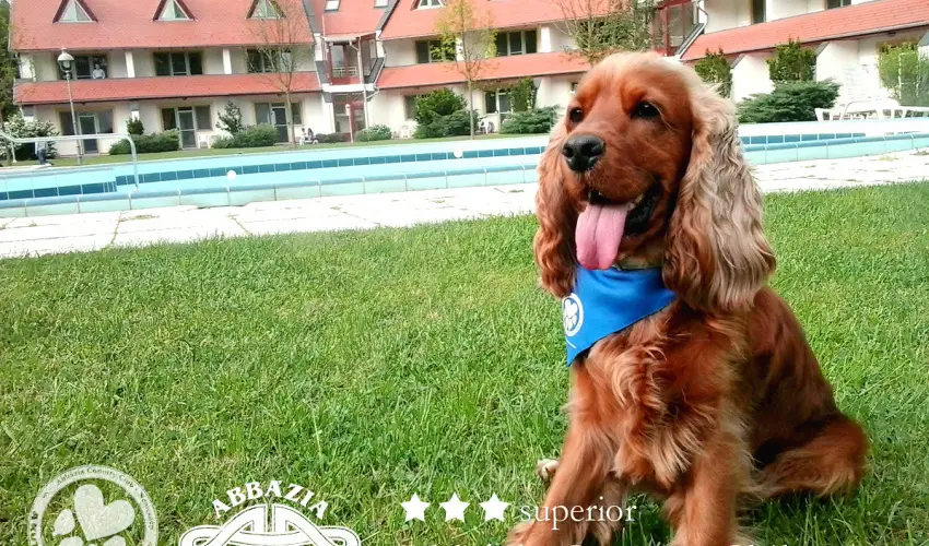 Abbzia Country Club Nemesnp - Karcsony - teljes elrefizetssel