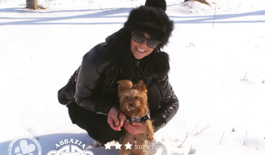 Abbzia Country Club Nemesnp - Karcsony - teljes elrefizetssel