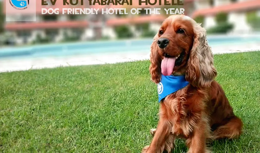 Abbzia Country Club Nemesnp - Karcsony - teljes elrefizetssel