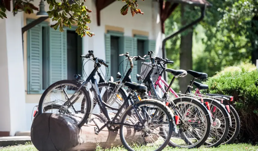 Abbzia Country Club Nemesnp - Karcsony - teljes elrefizetssel