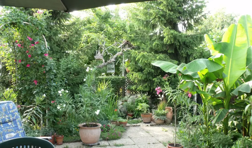 Agod Apartman Gyula - Karcsony (min. 3 j)