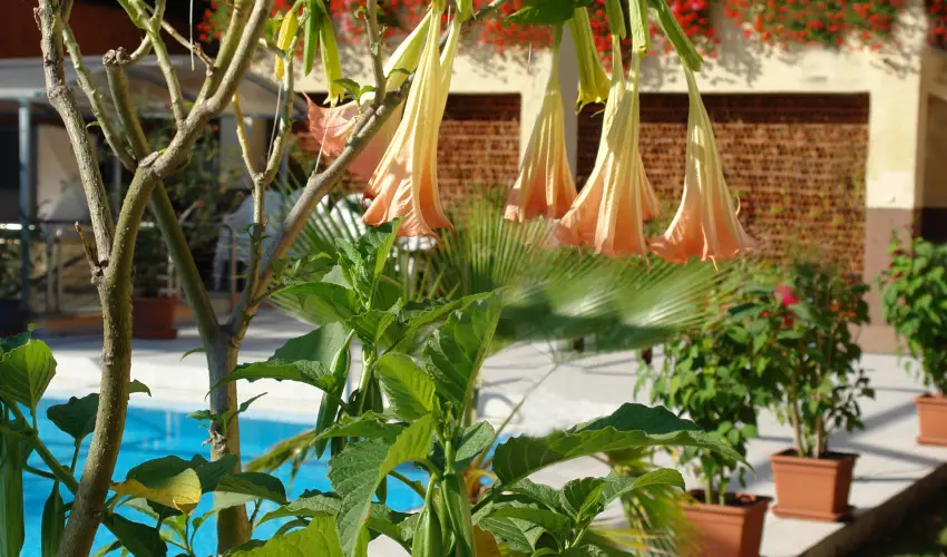 Alfa Hotel Miskolctapolca - Karácsony (min. 2 éj)