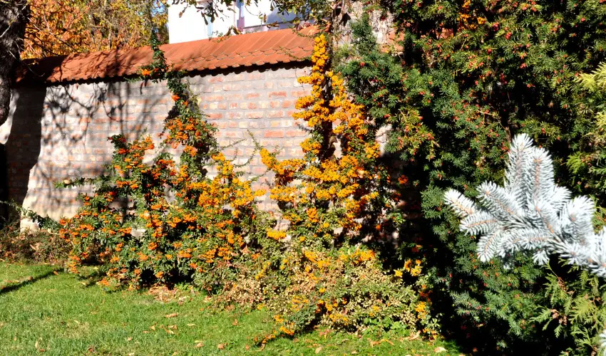 Ametiszt Hotel Harkny - Karcsony (min. 3 j)