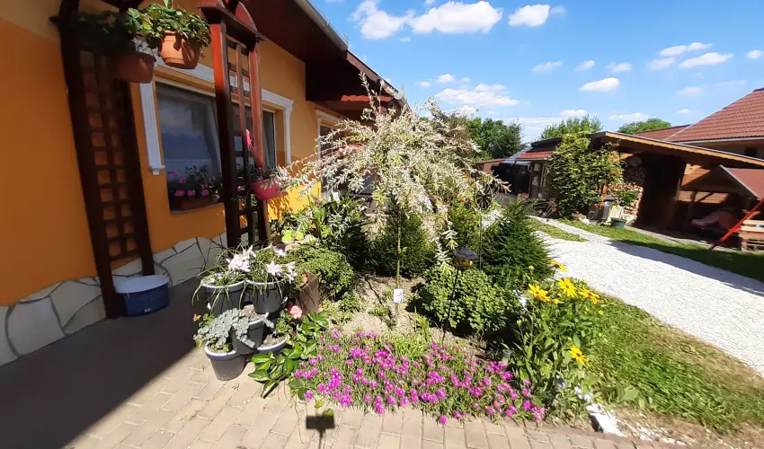 Andrea Vendghz Kehidakustny - Karcsony (min. 2 j)