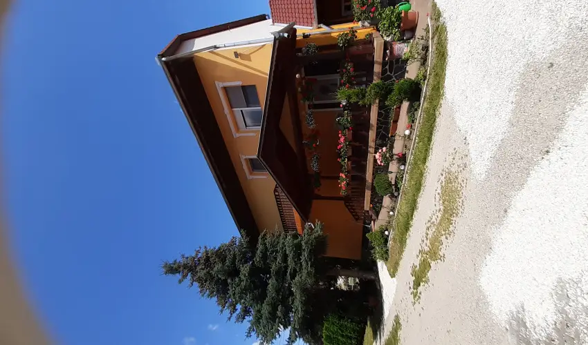 Andrea Vendghz Kehidakustny - Karcsony (min. 2 j)