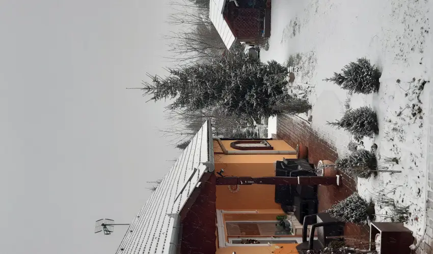 Andrea Vendghz Kehidakustny - Karcsony (min. 2 j)