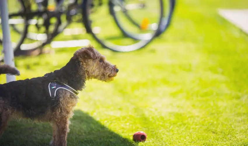 Apartman Szanyi Bk, Bkfrd - Karcsony (min. 2 j)