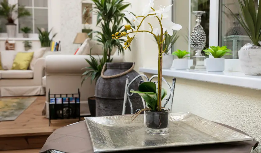 Aquasol Resort Mosonmagyarvr - Karcsony