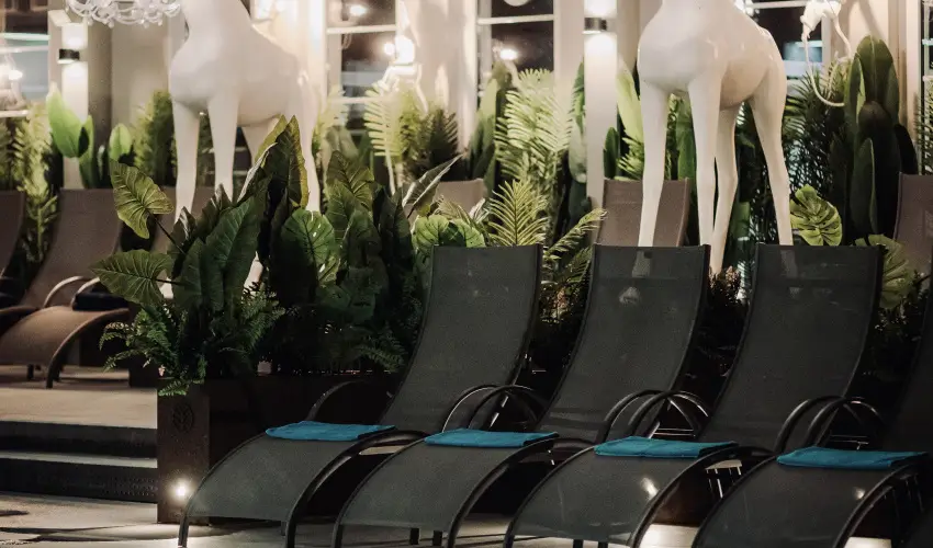 Aquasol Resort Mosonmagyarvr - Karcsony