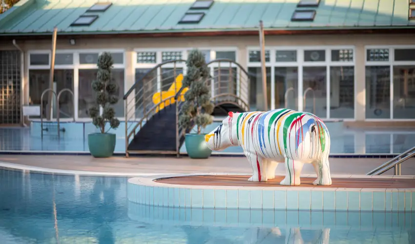 Aquasol Resort Mosonmagyarvr - Karcsony