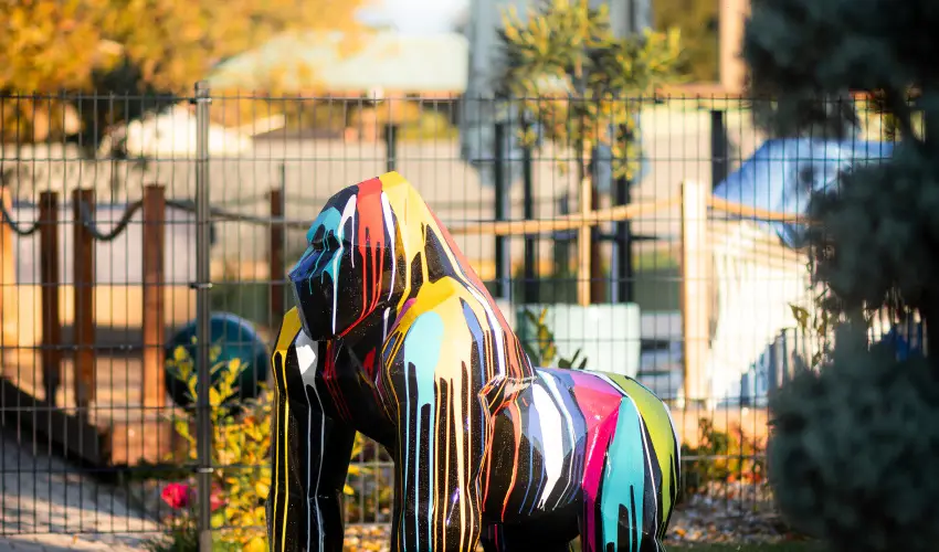 Aquasol Resort Mosonmagyarvr - Karcsony