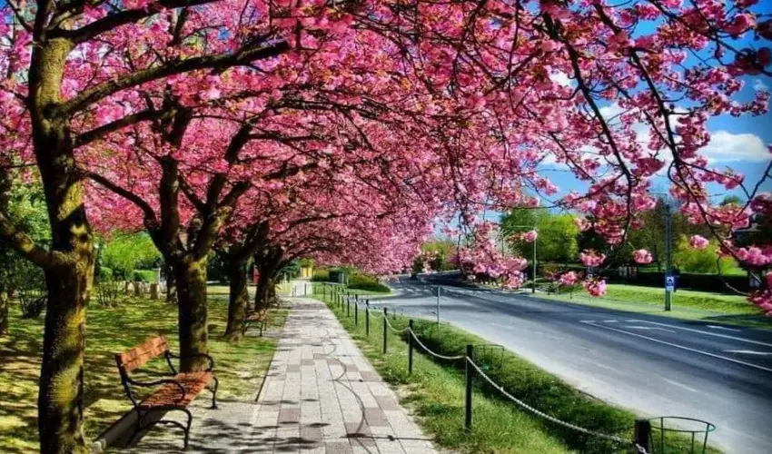 Arany Apartmanhz Zalagyngye  Zalakaros - Karcsony (min. 2 j)