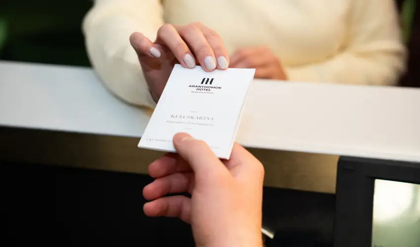 Aranyhomok Hotel Business & Relax Kecskem�t - Kar�csony