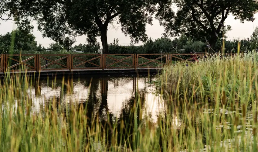 Arcanum Hotel Bkscsaba - Karcsony (min. 2 j)