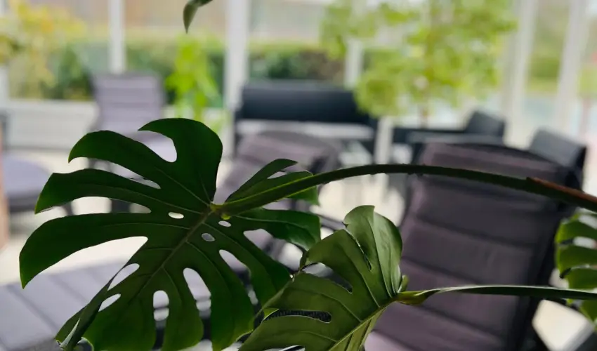 Art Hotel Zalakaros - Kar�csony (min. 3 �j)