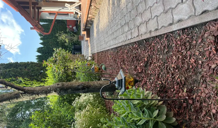 Aventurin House Rvflp - Karcsony (min. 2 j)