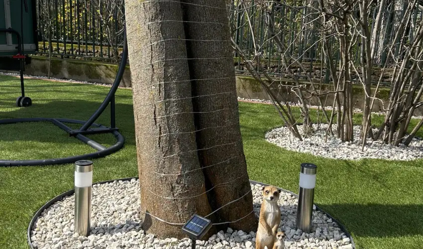 Aventurin House Rvflp - Karcsony (min. 2 j)