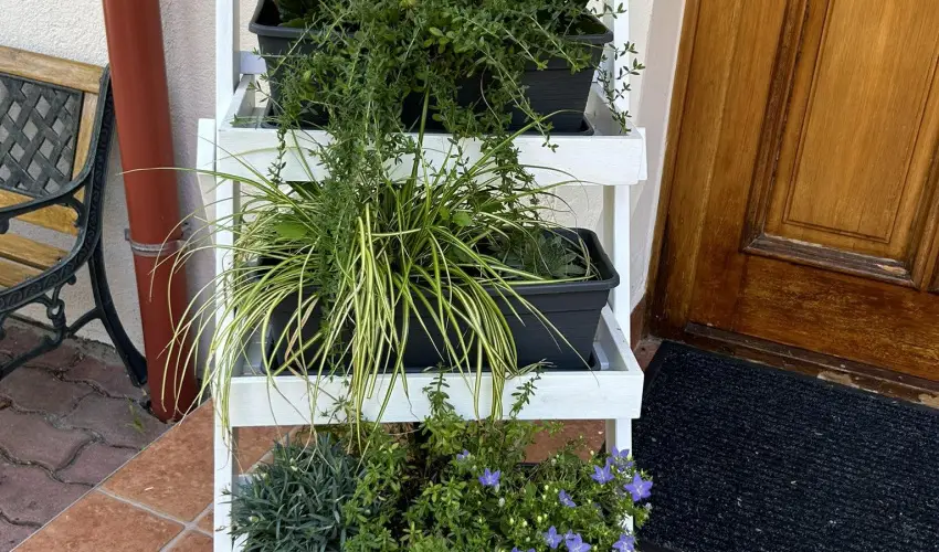 Aventurin House Rvflp - Karcsony (min. 2 j)