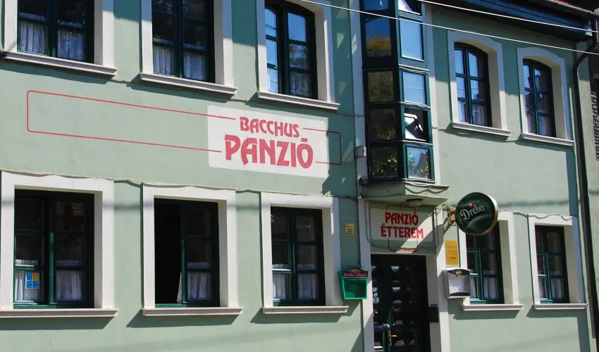 Bacchus Panzi Eger - Karcsony