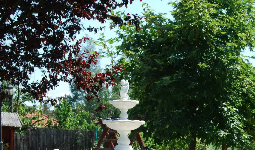 Bacchus Panzi Eger - Karcsony