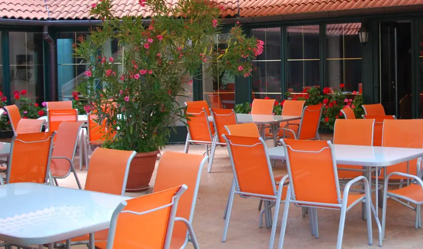 Bacchus Panzi Eger - Karcsony