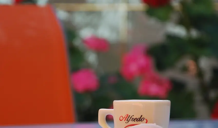 Bacchus Panzi Eger - Karcsony