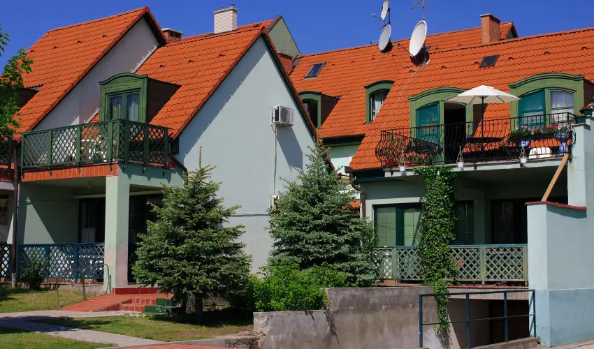 Bacchus Panzi Eger - Karcsony