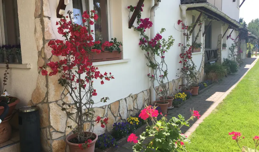 Bagolyvár Inárcs Inárcs - Karácsony