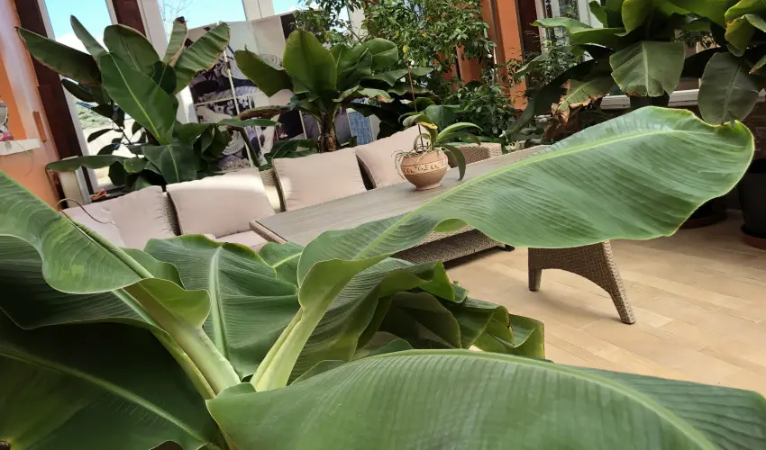 Bagolyvár Inárcs Inárcs - Karácsony