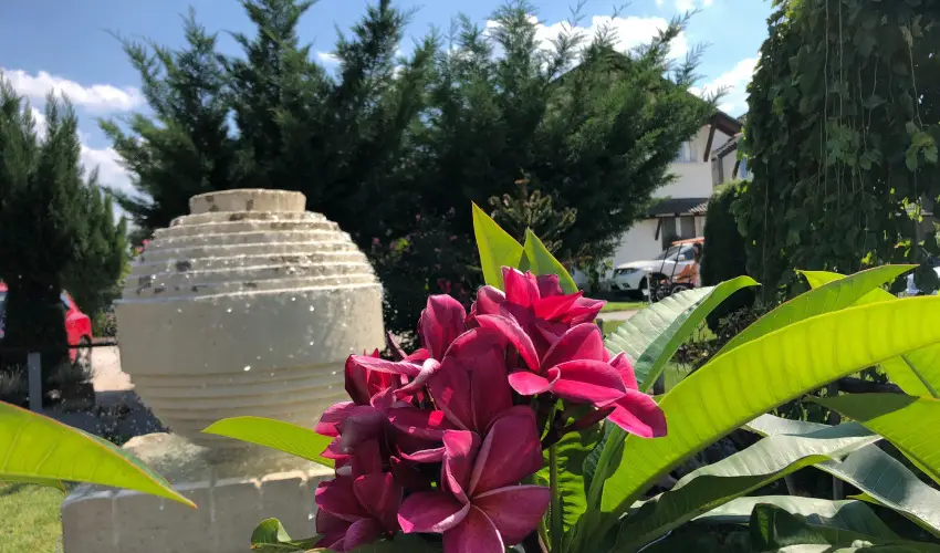 Bagolyvár Inárcs Inárcs - Karácsony