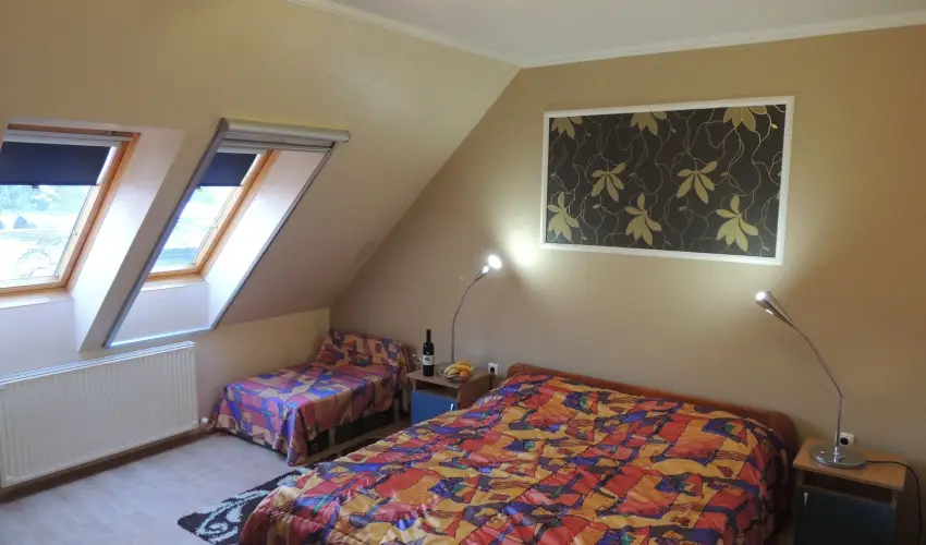 Bajor Panzi Aparthotel Bk, Bkfrd - Karcsony