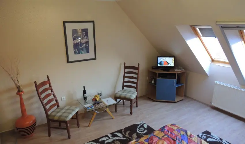 Bajor Panzi Aparthotel Bk, Bkfrd - Karcsony