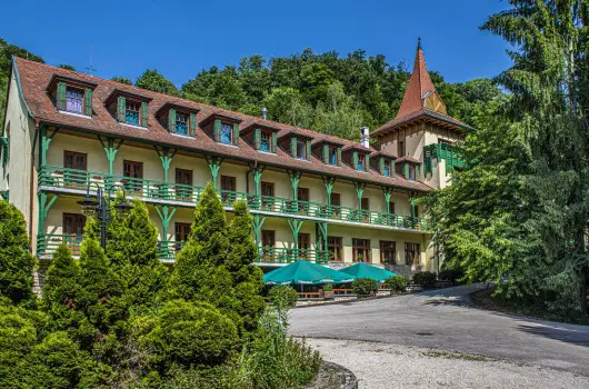 Hotel Bakony - Kar�csony