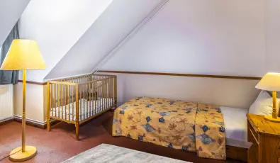 Hotel Bakony Bakonybl