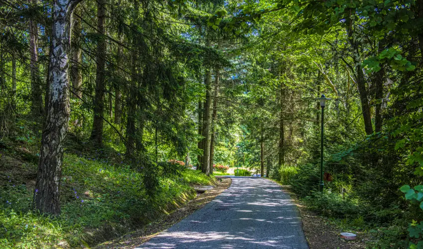 Hotel Bakony Bakonybl - Karcsony (min. 2 j)