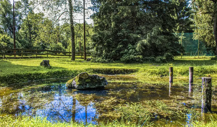 Hotel Bakony Bakonybl - Karcsony (min. 2 j)