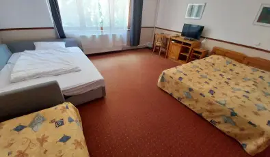 Hotel Bakony Bakonybl