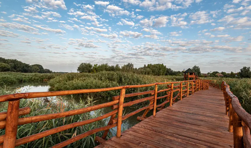 Barack Thermal Apartmanok Tiszakcske - Karcsony