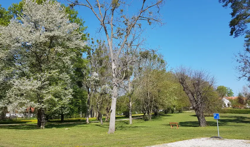 Batthyny Kria Zalacsny - Karcsony