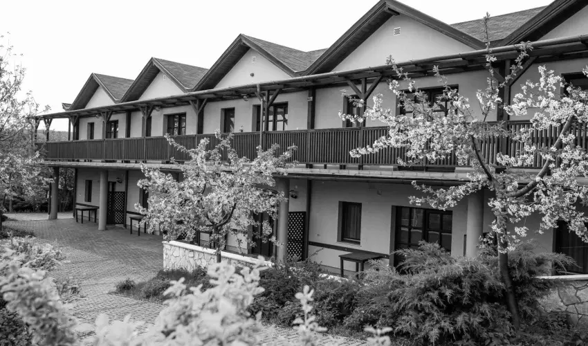 Bianka Apartman Bog�cs - Kar�csony (min. 2 �j)