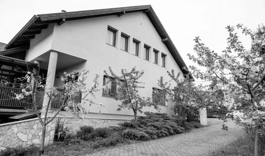 Bianka Apartman Bog�cs - Kar�csony (min. 2 �j)