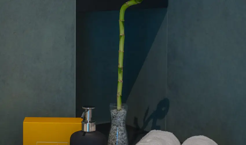 BJ81 Suite Hotel Si�fok - Kar�csony (min. 3 �j)