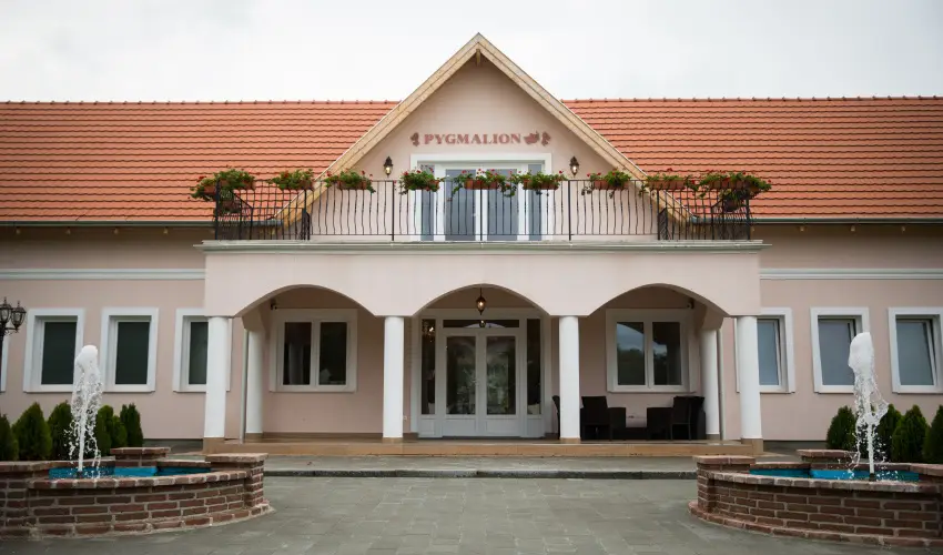 Bodrogi K�ria Wellness Hotel In�rcs - Kar�csony