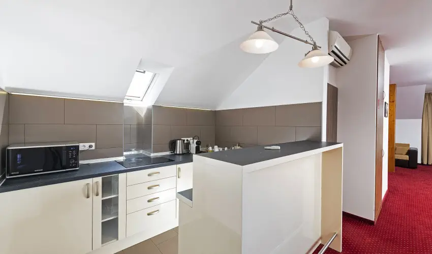 Bodrogi K�ria Wellness Hotel In�rcs - Kar�csony